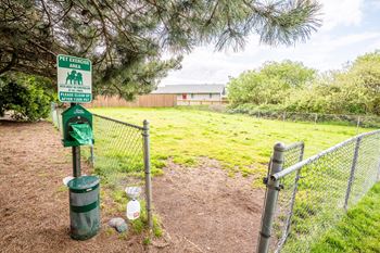 Pet relief area